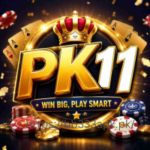 PK11 game