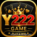 Y222 Game